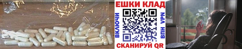 Ecstasy Philipp Plein  как найти закладки  Тверь 