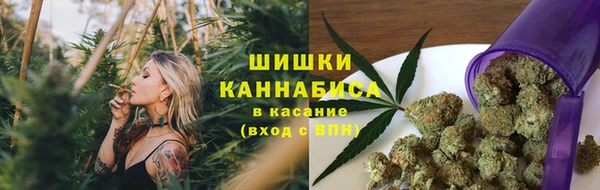 тгк Новодвинск