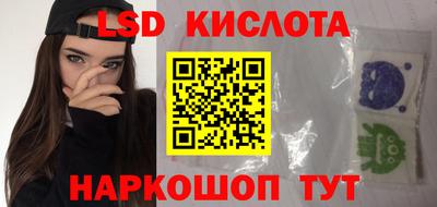 стаф Дубна