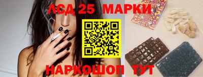 стаф Дубна