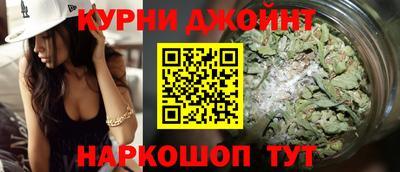 стаф Дубна