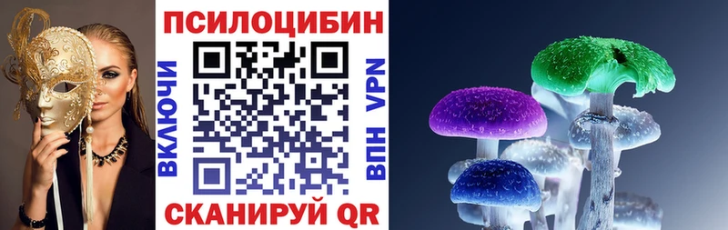дарнет шоп  Тверь  Галлюциногенные грибы Magic Shrooms 